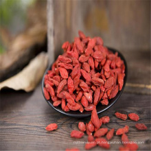 fábrica de frutas secas da china secas sementes de goji orgânico